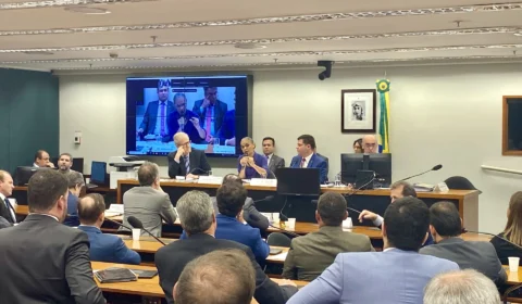 Ministra Marina Silva presta esclarecimentos sobre agropecuária em Comissão