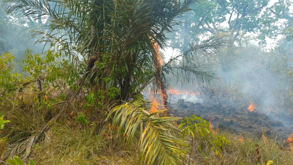 Incêndio atinge área de vegetação de difícil acesso em Parintins-AM