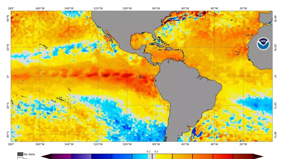 Pico do El Niño deve ser em dezembro; fenômeno irá durar até 2024