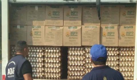 Carga irregular de ovos e agrotóxicos são apreendidos na rodovia AM-010