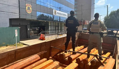 PF apreende madeira ilegal extraída em terra indígena de Tocantínia no TO