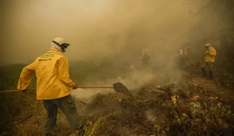 Pantanal: incêndios cercam rodovias e destruição chega a 950 mil hectares