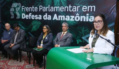 Câmara debate ‘Fator Amazônico’ e a Equidade de investimentos públicos