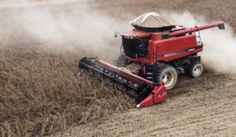 Produção de milho e soja no Acre é a maior em 30 anos, diz estudo da Ipea