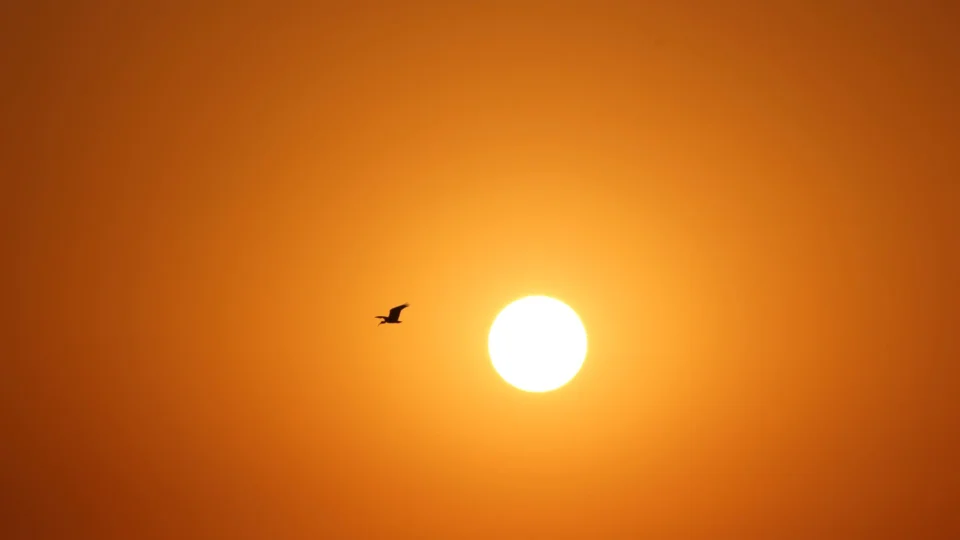 Novo recorde de calor: 2023 tem o novembro mais quente da história