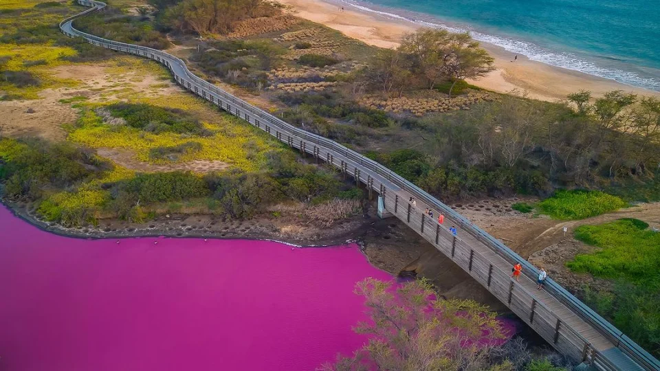 VÍDEO: saiba motivos de lago no Havaí, nos EUA, ter ficado totalmente rosa