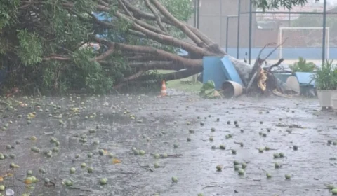 Onda de calor e tempestade causam prejuízos no Tocantins