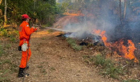 Tocantins cai para a 7ª posição no ranking nacional de queimadas