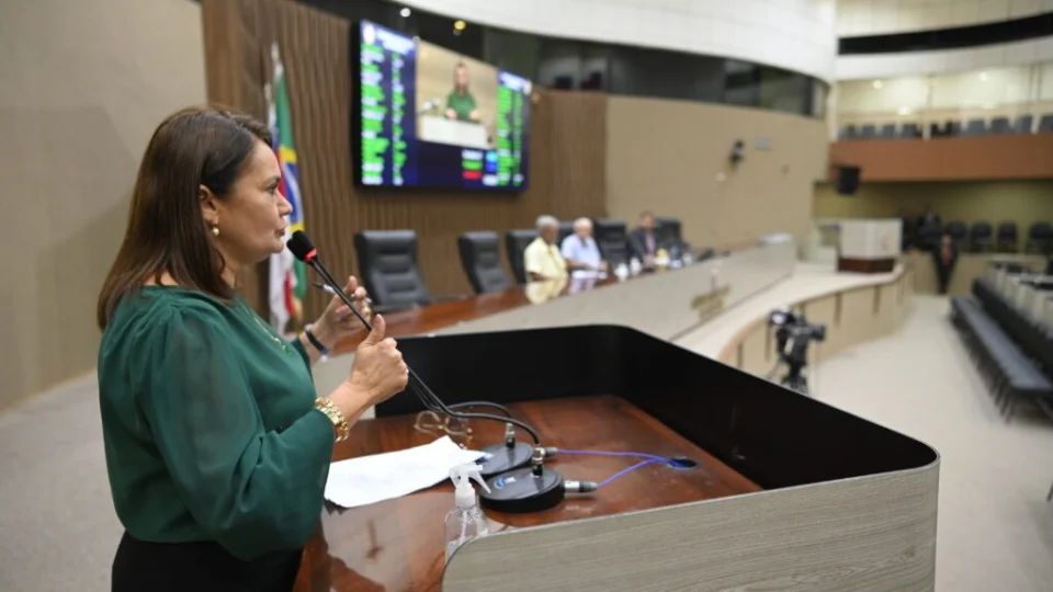 Vereadores aprovam ‘Festival dos Morcegos’ no Calendário Oficial de Manaus