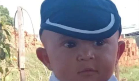 Menino de 2 anos morre após ser picado por cascavel no interior de SP