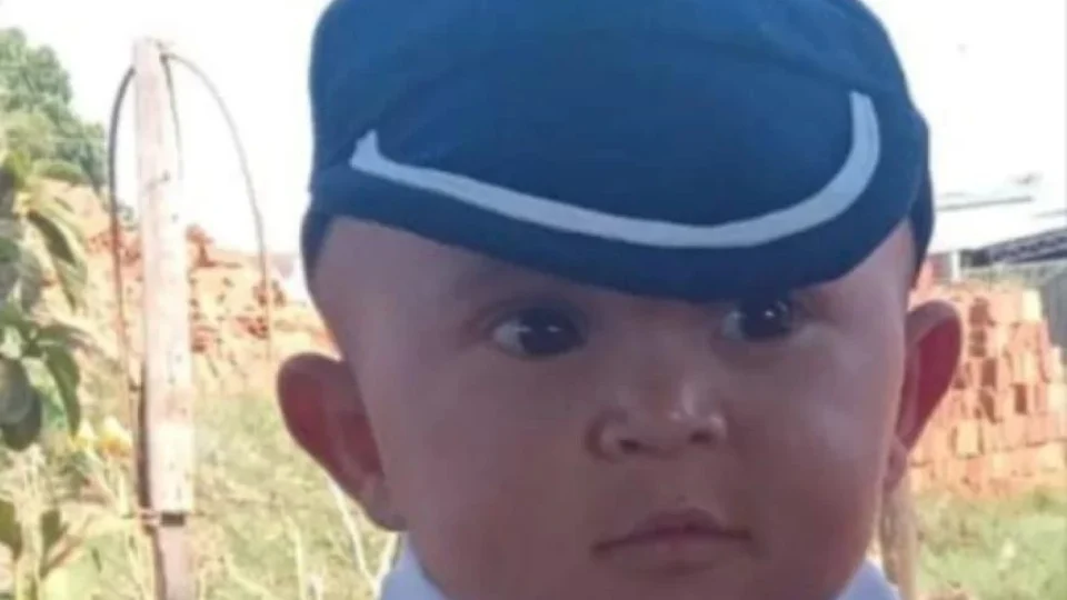 Menino de 2 anos morre após ser picado por cascavel no interior de SP