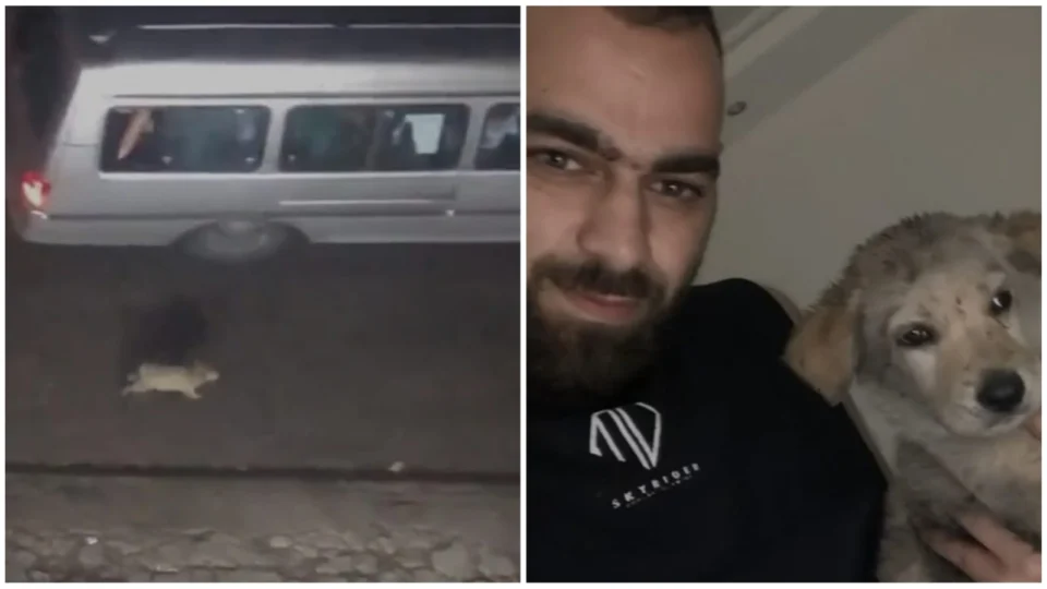 VÍDEO: homem adota cachorro que foi abandonado em rua movimentada