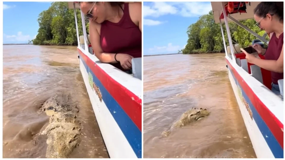 VÍDEO: mulher viraliza ao olhar ‘tranquilamente’ para crocodilo ao seu lado