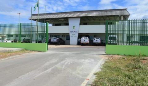 Técnico  em Agropecuária: Campus Amajari do IFRR lança seletivo com 35 vagas