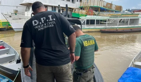 Crime Ambiental: Ibama flagra comércio de carne de peixe boi, em Coari-AM