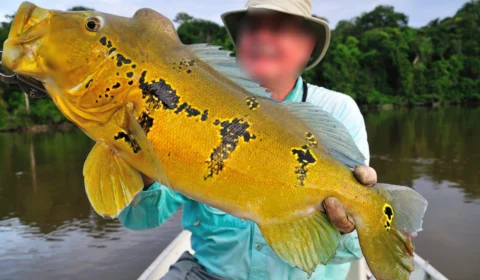 MPF recomenda que empresa dos EUA pare de vender pacotes de pesca no AM