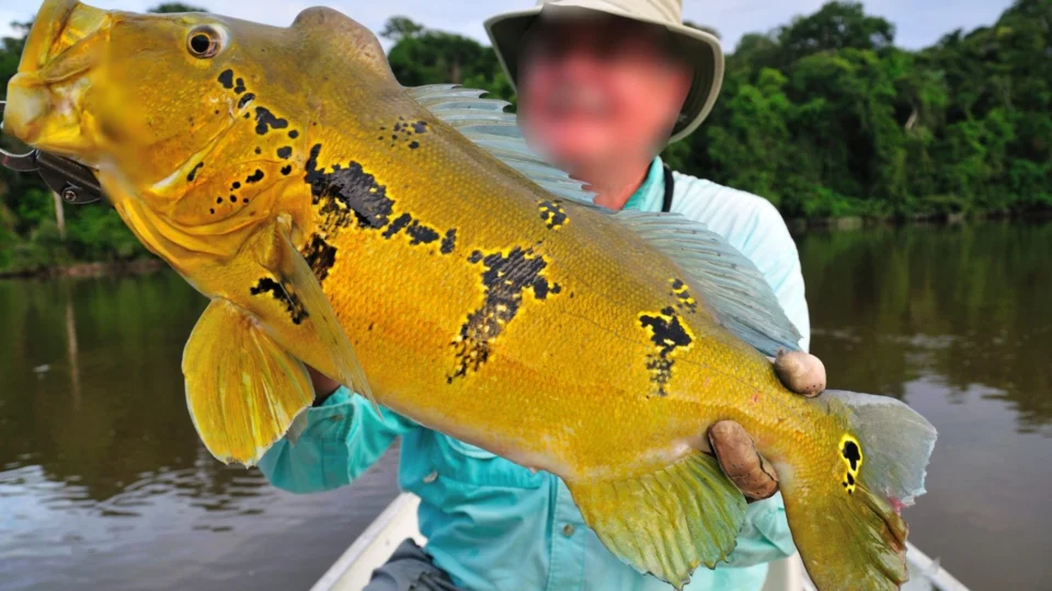 MPF recomenda que empresa dos EUA pare de vender pacotes de pesca no AM