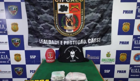 Polícia apreende cocaína avaliada em R$225 mil dentro de caixa térmica