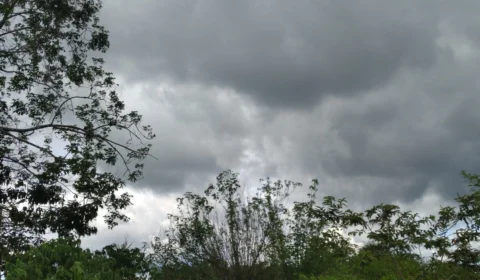 Previsão do tempo: confira o clima para esta quinta-feira, 7, em Manaus