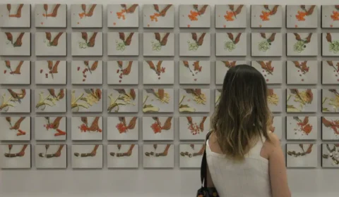 Prorrogado o prazo de execução dos recursos da Lei Paulo Gustavo