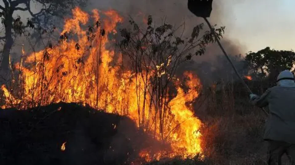 Calendário de queimadas segue aberto até 8 de dezembro em Roraima