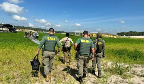 Garimpo ilegal em Manaus é desmobilizado em operação da PF e Ibama