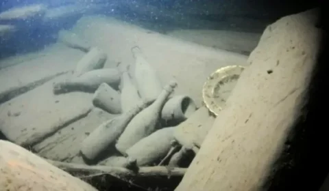 Champanhe de 1852 e com ‘gosto de cabelo’ pode ser leiloada a R$ 1 milhão