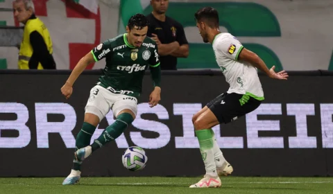 Palmeiras campeão do Brasileirão? Confira as possibilidades de título