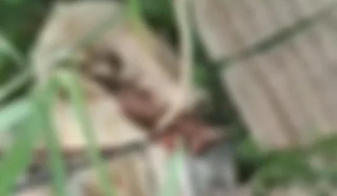 VÍDEO: Em Manaus, corpo é encontrado dentro de ‘carrinho de supermercado’