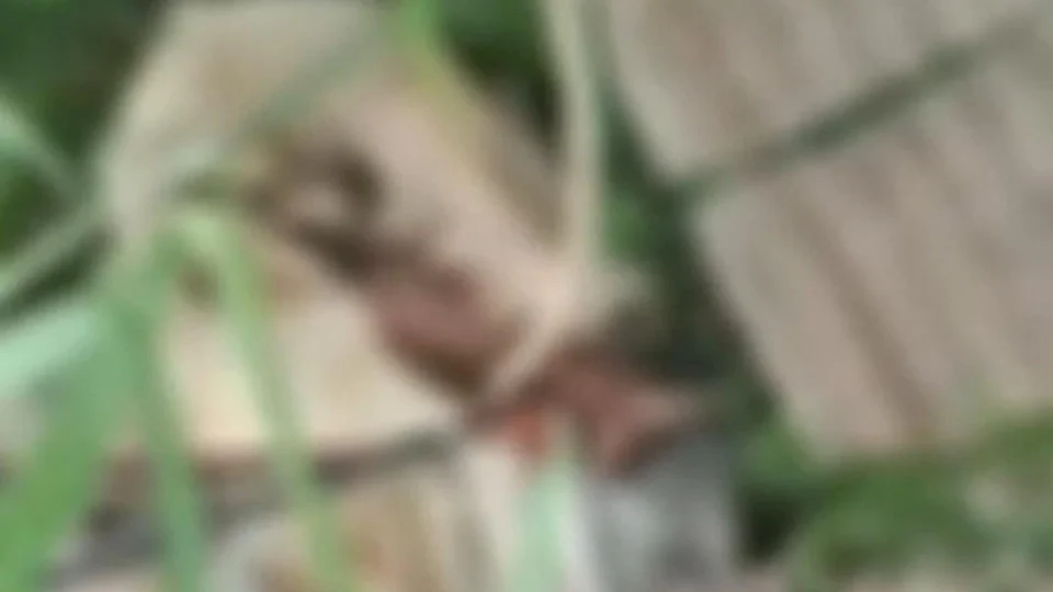 VÍDEO: Em Manaus, corpo é encontrado dentro de ‘carrinho de supermercado’