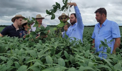 Comitiva Americana visita lavouras de soja no sul do Tocantins