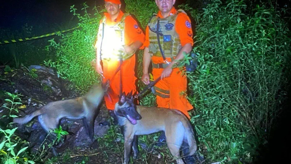 Cães de resgate auxiliaram nas buscas da artista venezuelana no Amazonas