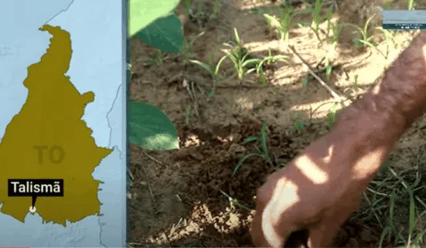 Onze cidades do Tocantins entram em situação de emergência