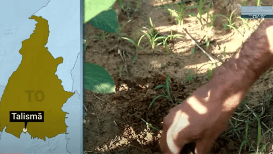 Onze cidades do Tocantins entram em situação de emergência