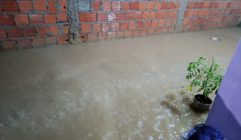 VÍDEO: chuva causa alagação e prejuízos em Carauari-AM