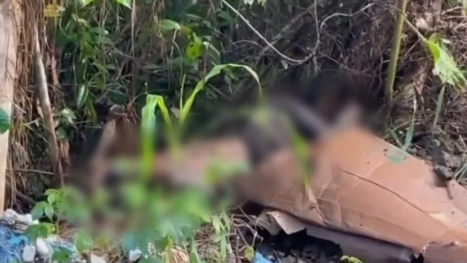 Corpo é encontrado, com sinais de tortura, por moradores de Manaus