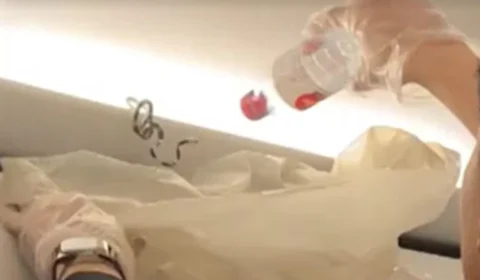 Cobra nas alturas: passageiros de avião levam susto após encontrar o animal