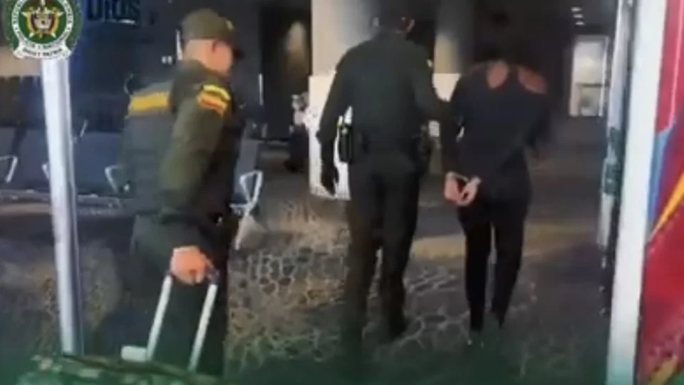 Brasileira é detida na Colômbia com 130 sapos venenosos escondidos em mala