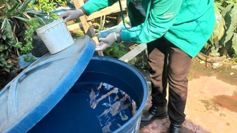 Em 30 dias, 804 casos de dengue são registrados no Amazonas, diz FVS