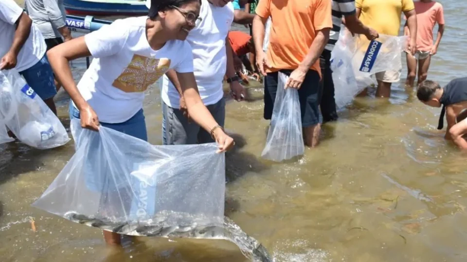 Mutirão solta 150 mil peixes em municípios do Sergipe