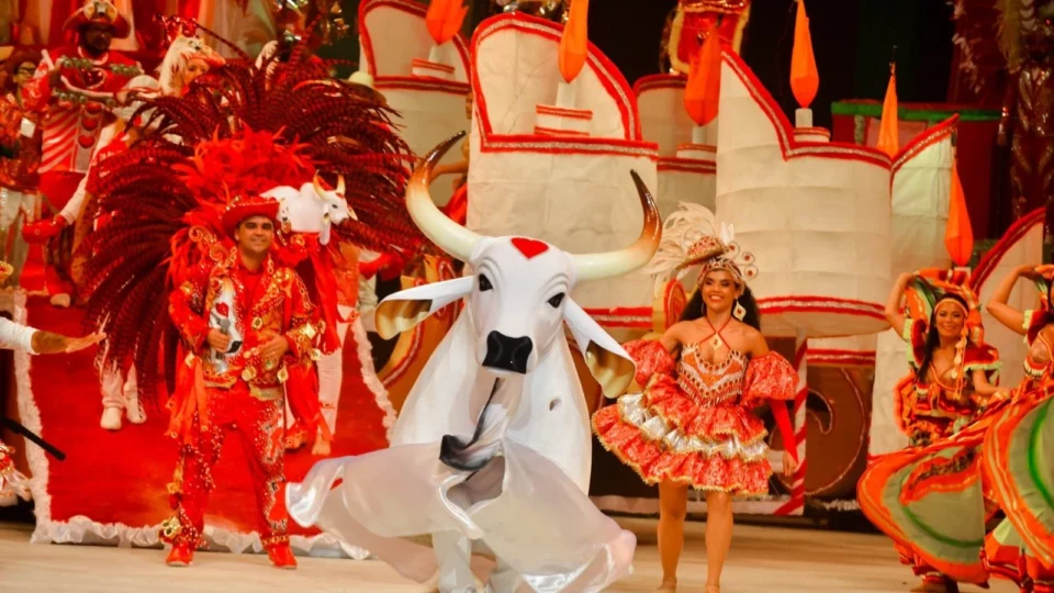 VÍDEO: Ex-BBB revela viagem a Parintins para festa tradicional do boi Garantido