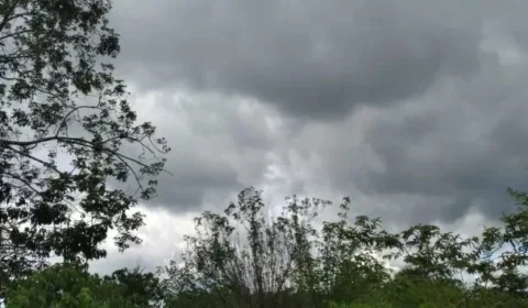 Previsão do tempo: confira o clima para este sábado (23) em Manaus