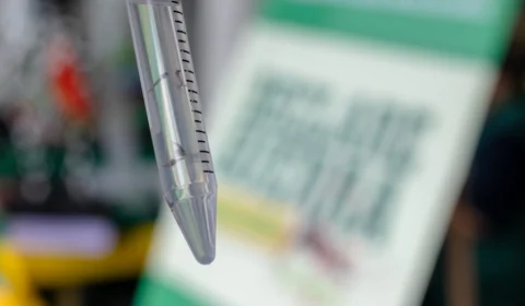 Em 7 dias, 1.440 casos suspeitos de dengue são registrados em Manaus