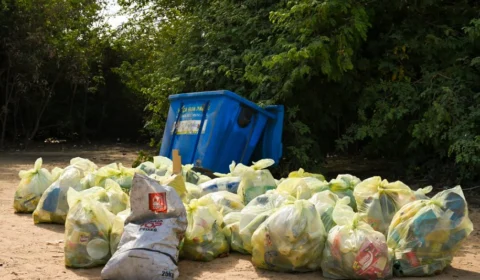 Após festas de fim de ano, praias de Boa Vista recebem mutirão de limpeza