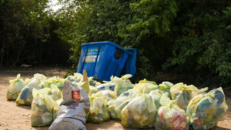 Após festas de fim de ano, praias de Boa Vista recebem mutirão de limpeza