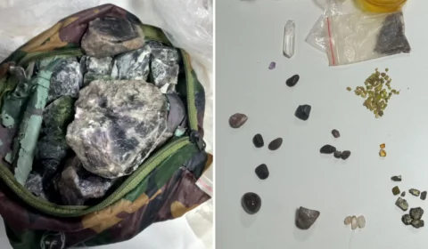 Agente canino encontra minério irregular dentro de embarcação em Barcelos-AM