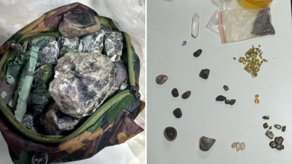 Agente canino encontra minério irregular dentro de embarcação em Barcelos-AM