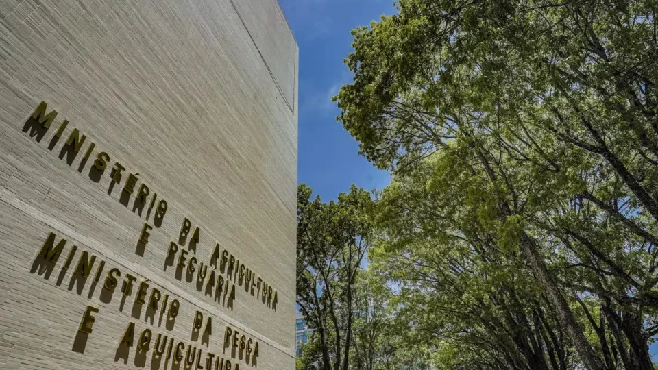 Ministério da Pesca terá concurso para 264 vagas temporárias de nível superior