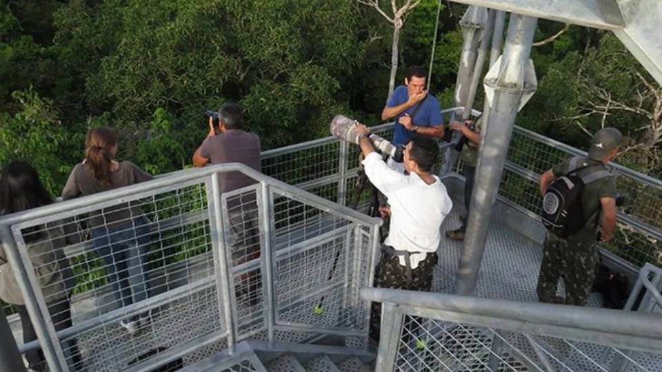 Musa terá visitação por R$ 10 em comemoração aos 15 anos em Manaus