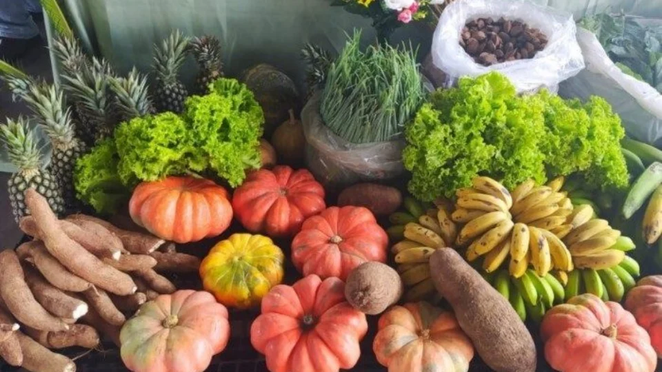 Em Rondônia, PAA teve R$ 6,3 milhões de incentivo em 2023